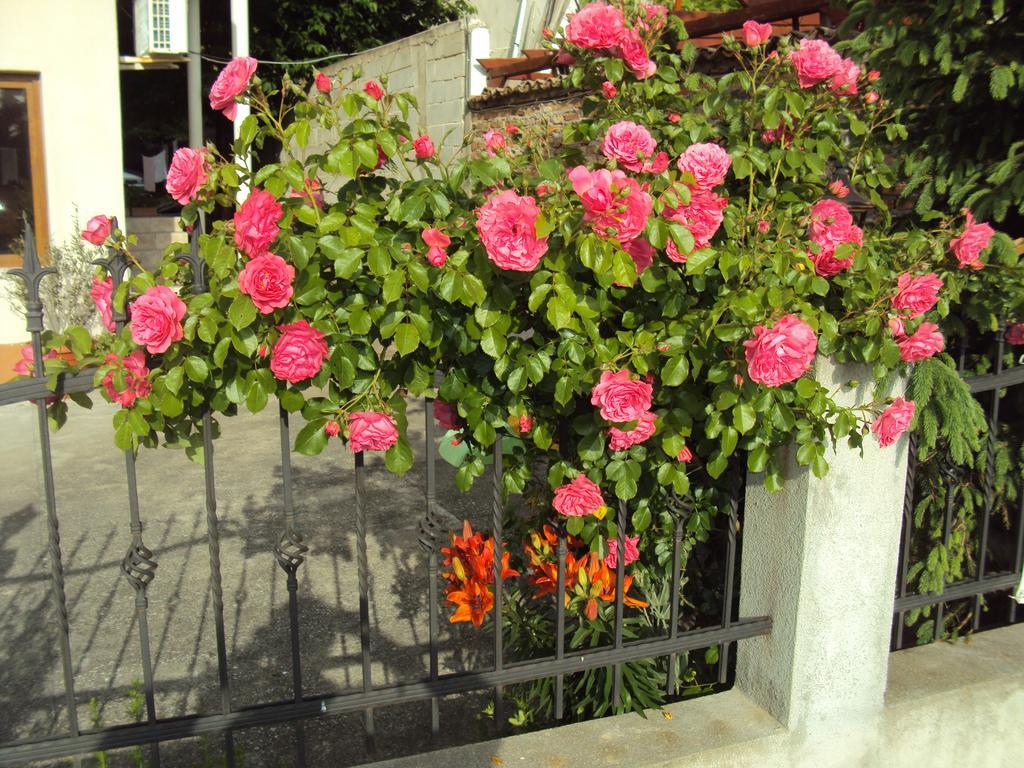 Amfora Guest House Byala  Exterior foto